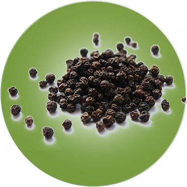 Black Pepper 00