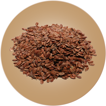 Flax Seeds