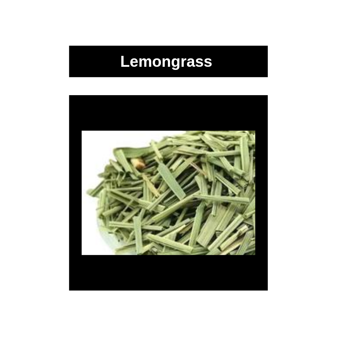 Lemongrass_20241014_211324_٠٠٠٠